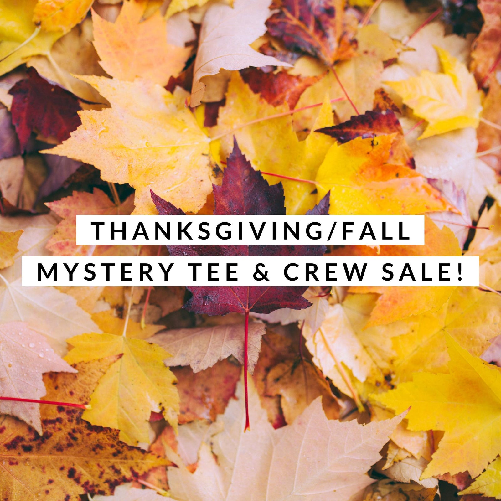 Thanksgiving/Fall Mystery Tee & Crew Sale